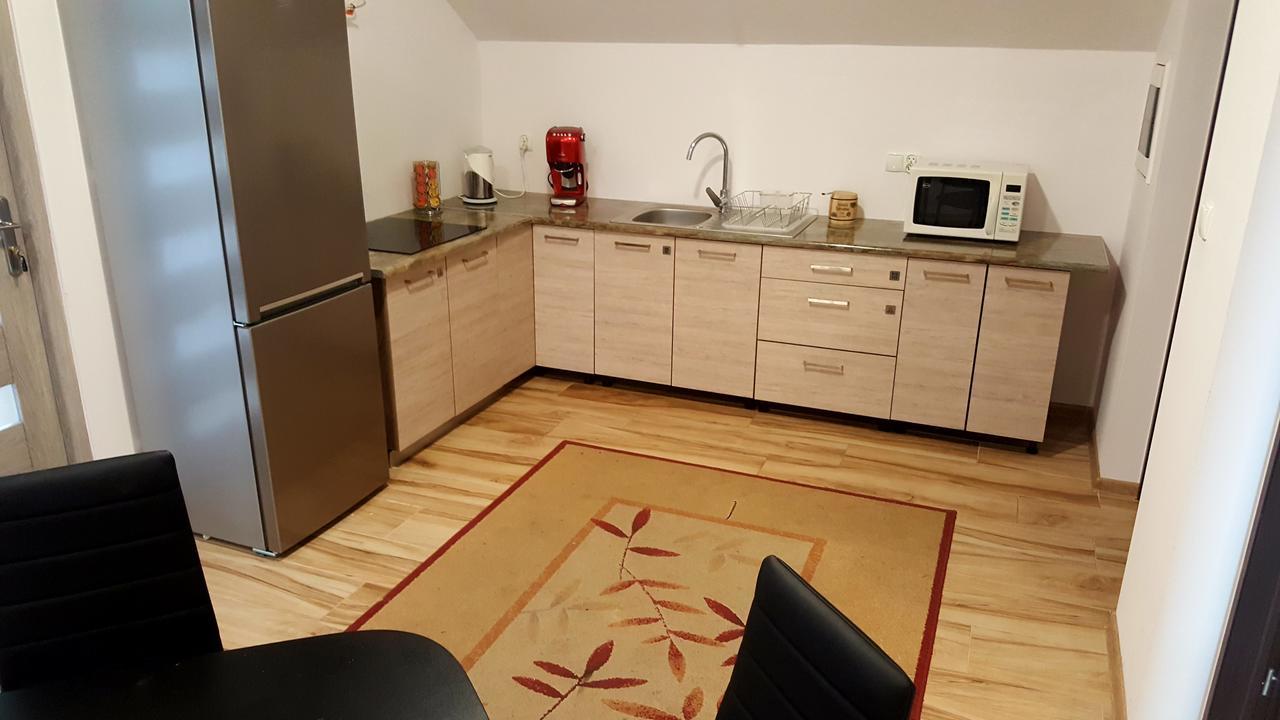 Apartamenty Daisy Goczalkowice-Zdroj Ngoại thất bức ảnh